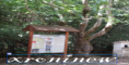 /album/ekthesi-fotografion/screenshot-07-10-2015-08-35-12-png/